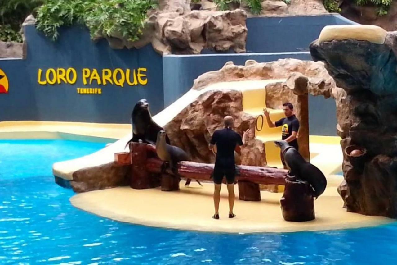 Central 1Bedroom Wifi 500Mbs & Pool プエルト・デ・ラ・クルス エクステリア 写真